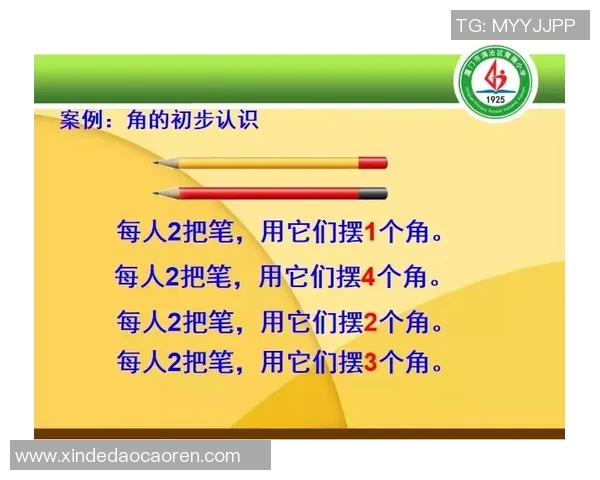 提升身体素质与团队协作能力，探索多元体育活动对青少年成长的积极影响