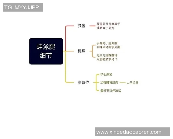 蛙泳技巧全面解析：从入门到进阶的完美训练方法与实用心得