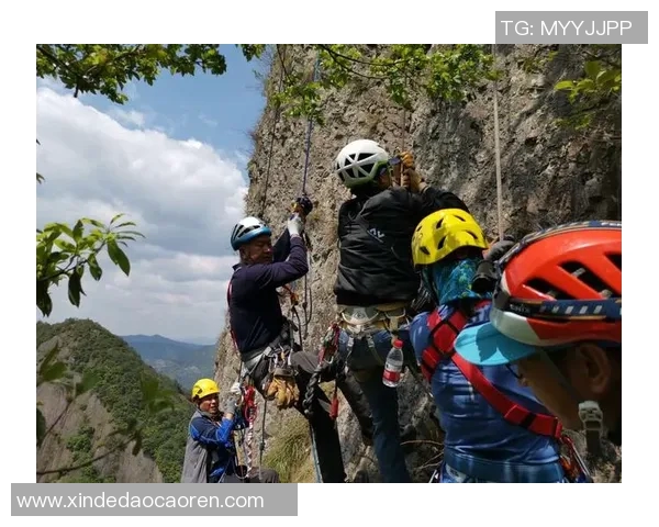 上海攀岩队团队协作的独特优势与其他队伍的深度对比分析