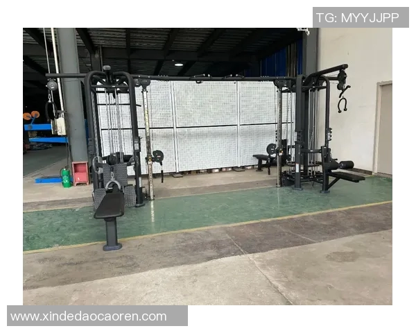 压力器健身器材的功能及训练方法详解