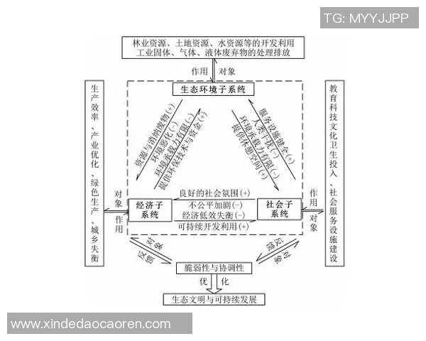 体育竞技与全民健身的融合发展对社会健康提升的深远影响分析